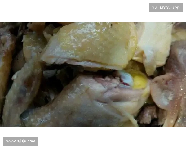 白斩鸡的经典做法与独特风味解析探索传统美食背后的深厚文化底蕴 白斩鸡的经典做法与独特风味解析探索传统美食背后的深厚文化底蕴